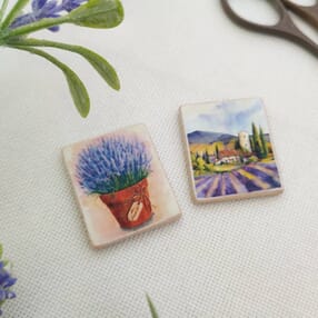 magnit,flora,magnit_poizobrazheniyu,