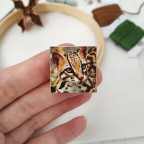 magnit_poizobrazheniyu,