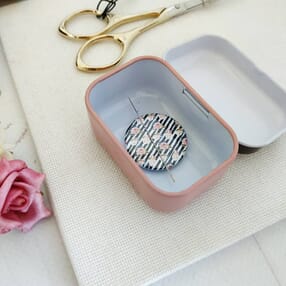 magnit,dlyavishivki,igolnitsa,