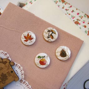 magnit,flora,frukti_ovoschi,